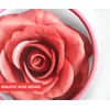 3D petal rose makeup blush gift highlighter Rare beauty blush