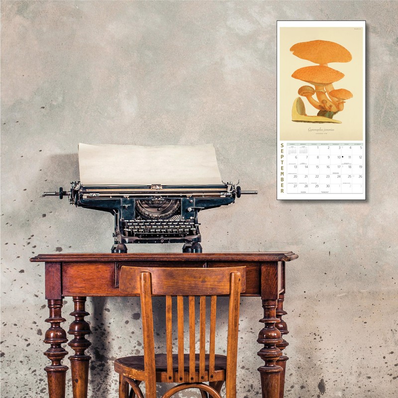 Mushroom Botanical Prints Mini Wall Calendar 2026 7" x 7"