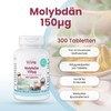 Molybdenum 150 μg – 300 Tablets – Easy to Swallow