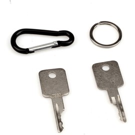 2 PCS D250 Ignition Keys for Bobcat, Terex, Broce, Ditch Witch, Genie, Grove, Ingersoll-Rand, JLG, Pollock, Tenant, Timberjack, Vermeer, Volvo 307852A1, 6693241, 6709527, 714602, A77313