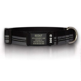 The Rock Solid Collar ID (Graphite Black, Medium/Large)