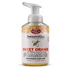 Beessential All Natural Bulk Foaming Hand Soap Refill, 16 oz