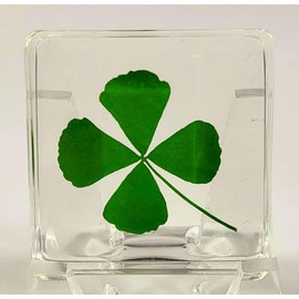 38mm Real Four Leaf Clover Shamrock in Crystal Clear Lucite Resin Specimen St.Patrick's Day "Lucky Leaf" Gift Crafts Collection for Botany Science Education & Desk Ornament Display Small Paperweight