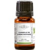 Wild Cinnamon from China Essential Oil - MY COSMETIK -