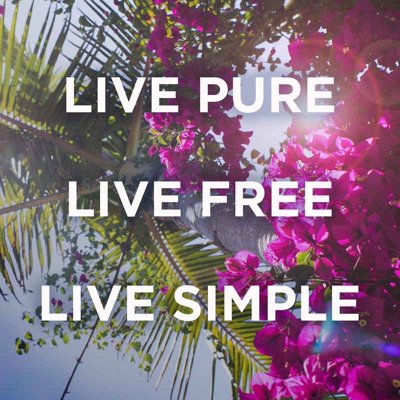 Petal Fresh Shampoo, Lavender, 16 Fluid Ounce