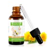 Varicose Veins Essential Oil, Spider Vein Removal Oil for Legs,
