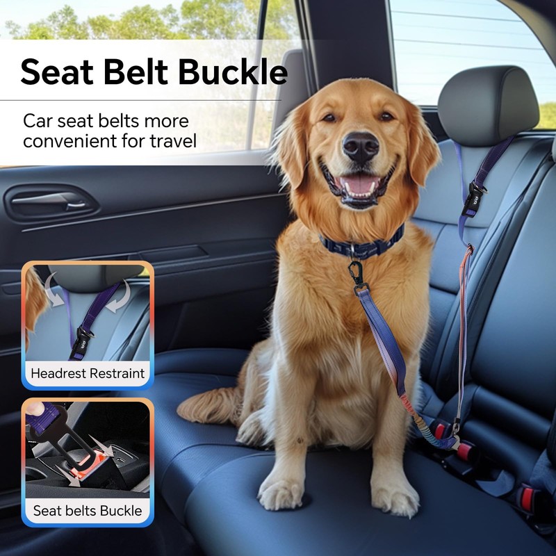 QQPETS Hands Free Dog Leash, Adjustable Waist Leash for Dog