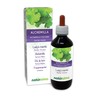 Lady's Mantle (Alchemilla vulgaris) herb Alcohol-Free Mother Tincture Naturalma -