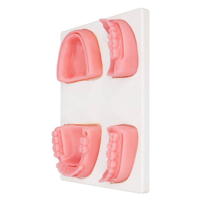 Dental Suture Practice Kit Silicone Model Pliers Tweezers Thread Oral