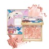 CATKIN Rouge Blush, Baked Powder Blush and Highlighter 2 in