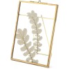 Rising Star Brass Frame, Single 8x10 Picture Frame, Gold Metal