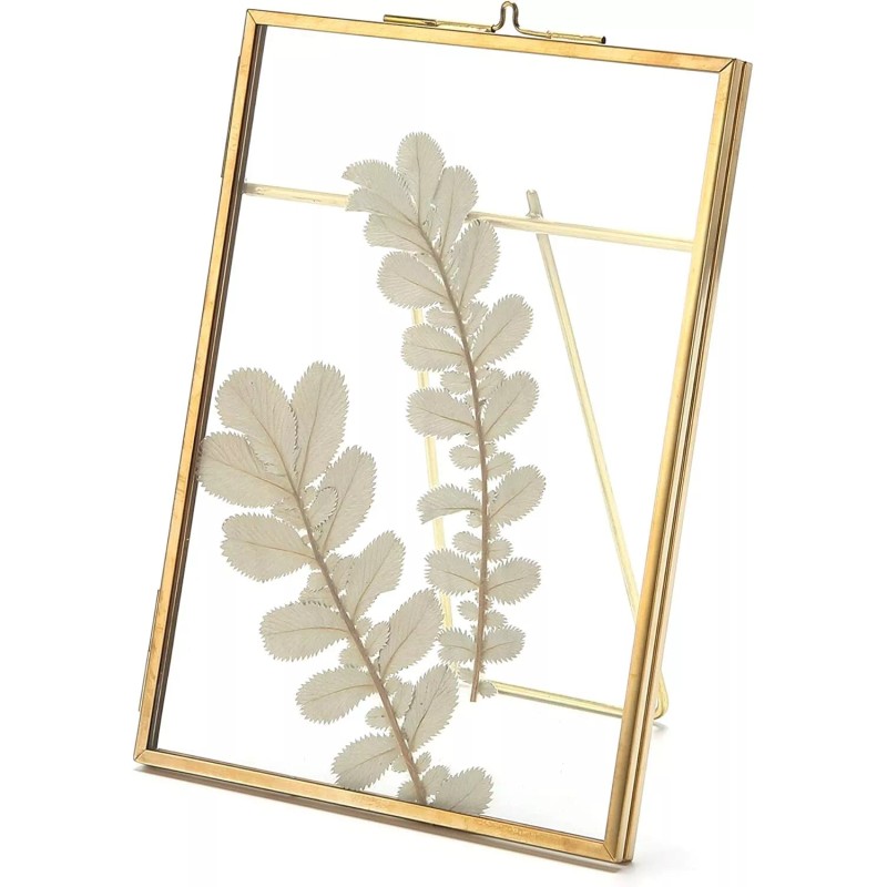 Rising Star Brass Frame, Single 8x10 Picture Frame, Gold Metal