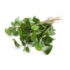 Houttuynia Herb - Dried Houttuynia cordata C/S 100% from Nature