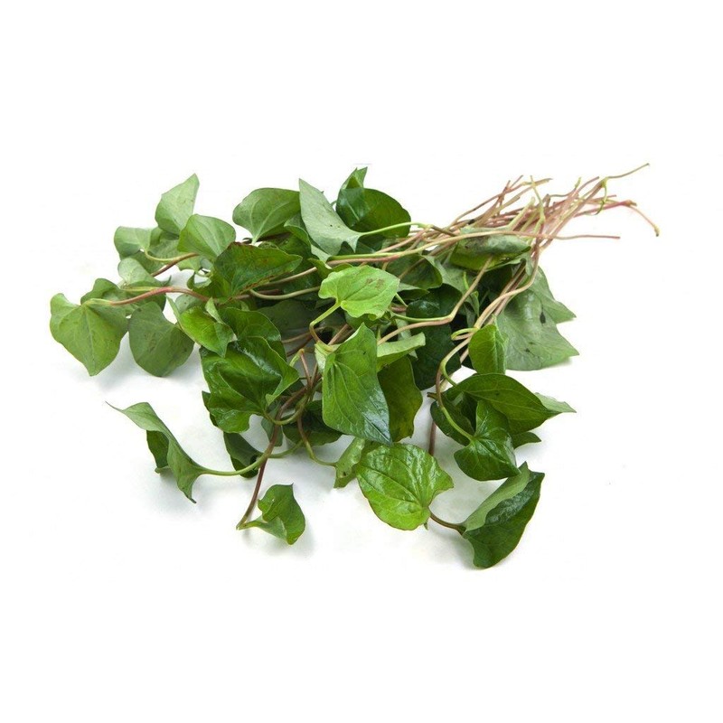 Houttuynia Herb - Dried Houttuynia cordata C/S 100% from Nature