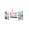 Whitmor Set of 50 Wooden Clothespins, S/50