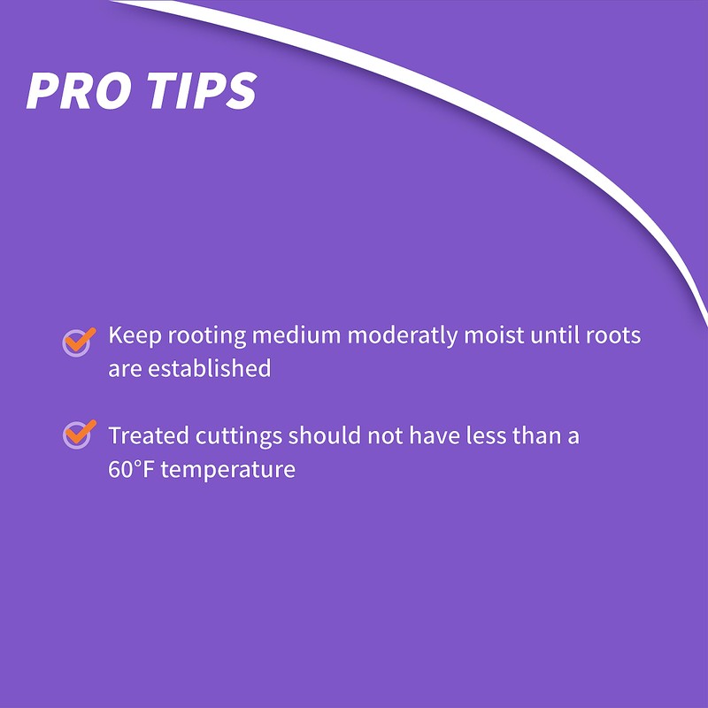 Bonide Bontone II Rooting Powder, 1.25 oz Ready-to-Use Dust for