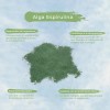 Alga Espirulina Orgánica Pura Polvo 1 Kilogramo