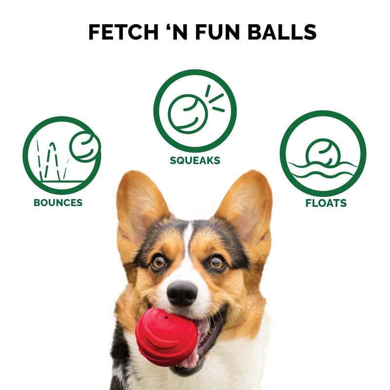Furhaven 3-Pack 2.5" Squeaky Ball Dog Toys for Small/Medium Dogs,