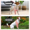 ROZKITCH Dog Surgery Recovery Sleeve Front Right Left Leg, Pet