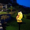 Owl Solar LED Lights Waterproof Garden Decorative with Stake for