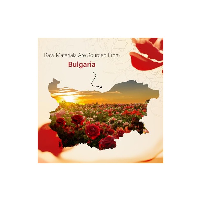 Rose - 100% Pure, Best Therapeutic Grade Essential Oil -