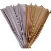 A L Paper Crepe Metallic Pascua De 2 M X