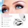 Magnetic Eyelashes with Applicator, Magnetic False Eyelashes Natural Look No