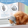 Cat Cone Collar Soft to Stop Licking After Surgery Cat