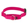 PetSafe Martingale Dog Collar with Quick-Snap Buckle - Medium, 1