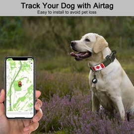 Tactical Dog Collar Thick with Handle - Heavy Duty Metal Buckle Military Dog Collar with Canada Flag Patch and Airtag Case Holder for Medium and Large Dogs Chew Proof(L(16.5''-20.5''), Green)