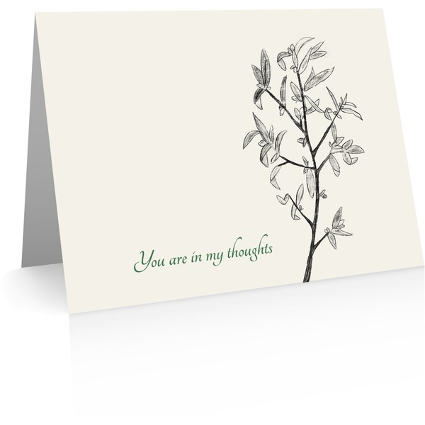 You Are In My Thoughts - Sympathy Cards - Condolence Cards (12 Cards and Blank Envelopes)