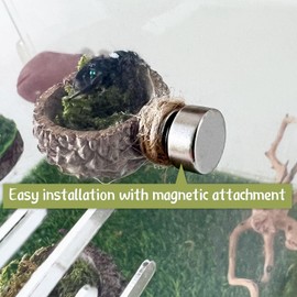 Jumping Spider Hide,Made from Real Acorns, a Jumping Spider Enclosure Accessory, Magnetic Bark Jumping Spider Habitat, Handmade Jumping Spider Platform, Decorative Accessory. (Platform)