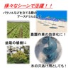 ST TS Earth Drill, For Gardening, Earth Auger, Hexagonal Drill