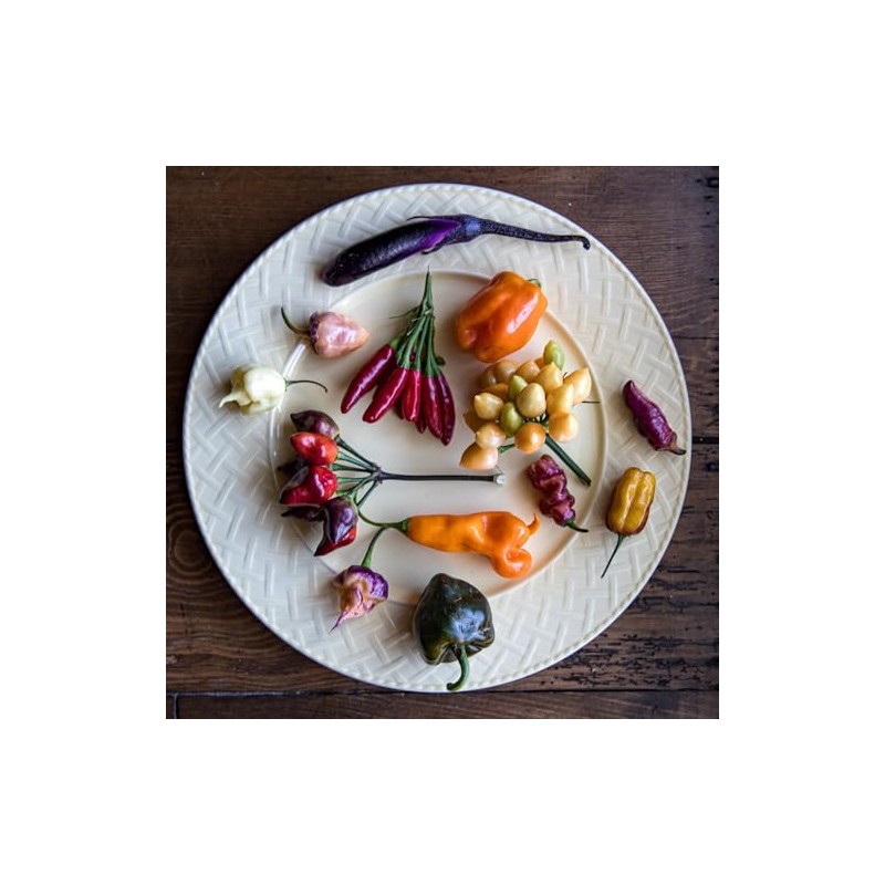 Satsuma Long Green Eggplant Asian Heirloom Premium Seeds for Planting