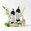 Holistic Hair Hydrating Shampoo, 500ml refill