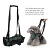 Cat Vest Harnesses Leash Adjustable Breathable Stylish Multifunctional Pet Walking