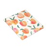Peach Motif Wall Plates Double Toggle Light Switch Cover Decorative
