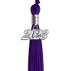 Endea Graduation Single Color Tassel with Silver Date Drop (Purple,