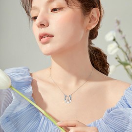 HUKKUN Women's Silver 925 Fox/Turtles/Pig/Phoenix/Cardinals Bird/Horse Chain Fox Jewellery Gift, Sterling Silver, No Gemstone