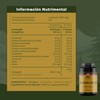 TIBET NATURA - Astragalus 60 Cápsulas 500 mg c/u -
