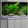 Aquatic Plant Aquarium Background, Green Seagrass Lake River Bed Fish