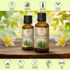 Palmarosa Essential Oil 50 ml - Cymbopogon Martini - Moisture