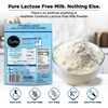 Healthier Comforts Lactose Free Skim Milk Powder | High Protein,