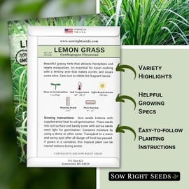 Sow Right Seeds - Lemon Grass Seed for Planting - Non-GMO Heirloom Packet with Instructions for Easy Planting and Growing an Herb Garden - Indoor or Outdoors - Delicious Culinary Herb (1)