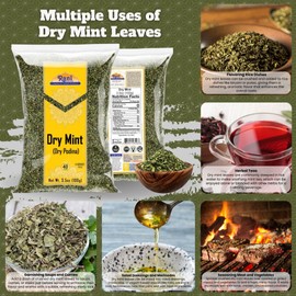 Rani Dry Mint Leaves (Podina Leaf) Spice, Dried Herb 3.5oz (100g) ~ All Natural | Gluten Friendly | NON-GMO | Kosher | Vegan | Indian Origin