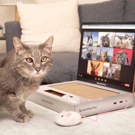ScratchPad Pro — Cardboard Laptop Cat Scratcher, Interactive Cat Toys for Indoor Cats, Kitten Supplies and Cat Stuff by Relatable