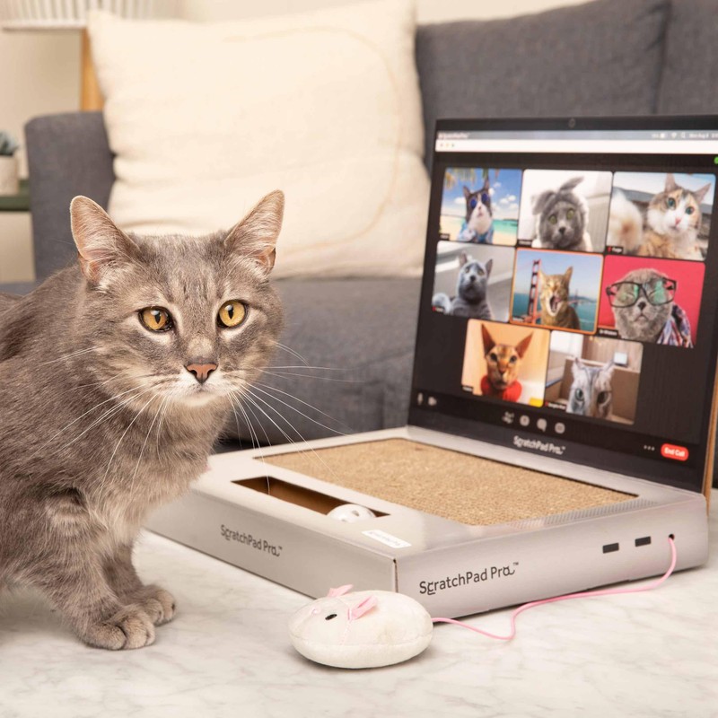 ScratchPad Pro — Cardboard Laptop Cat Scratcher, Interactive Cat Toys