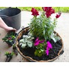 Bosmere 24" Pre-Formed Replacement Coco Liner with Soil Moist for