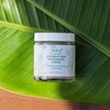 Sea El Coconut Kiwi Exfoliating Face Scrub Hydrating Calming &