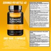 PhiNaturals Turmeric Curcumin with Black Pepper Extract - 500mg per